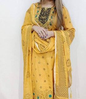 ( DZ ) Kusum Koli ( Yellow )